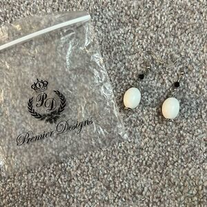 NEW Premier Designs “Artzy” Earrings